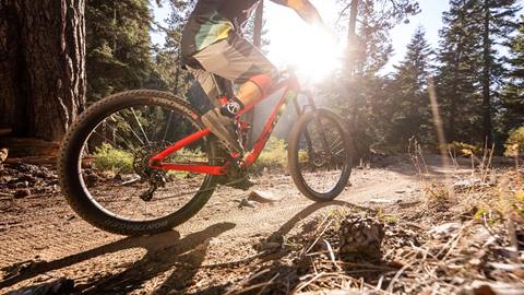mountain bike rental - a person riding a mountain bike