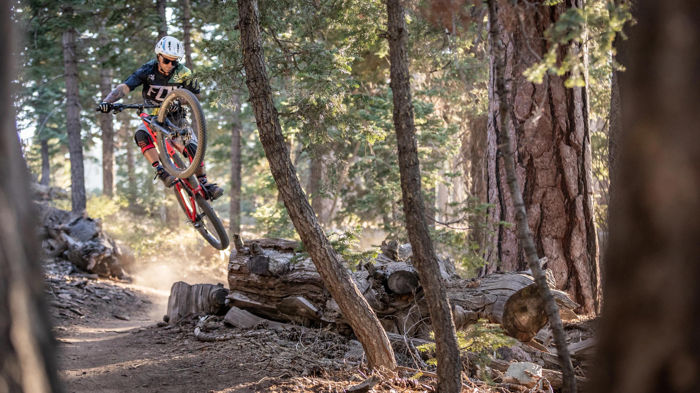Mountain biker doing a one wheelie