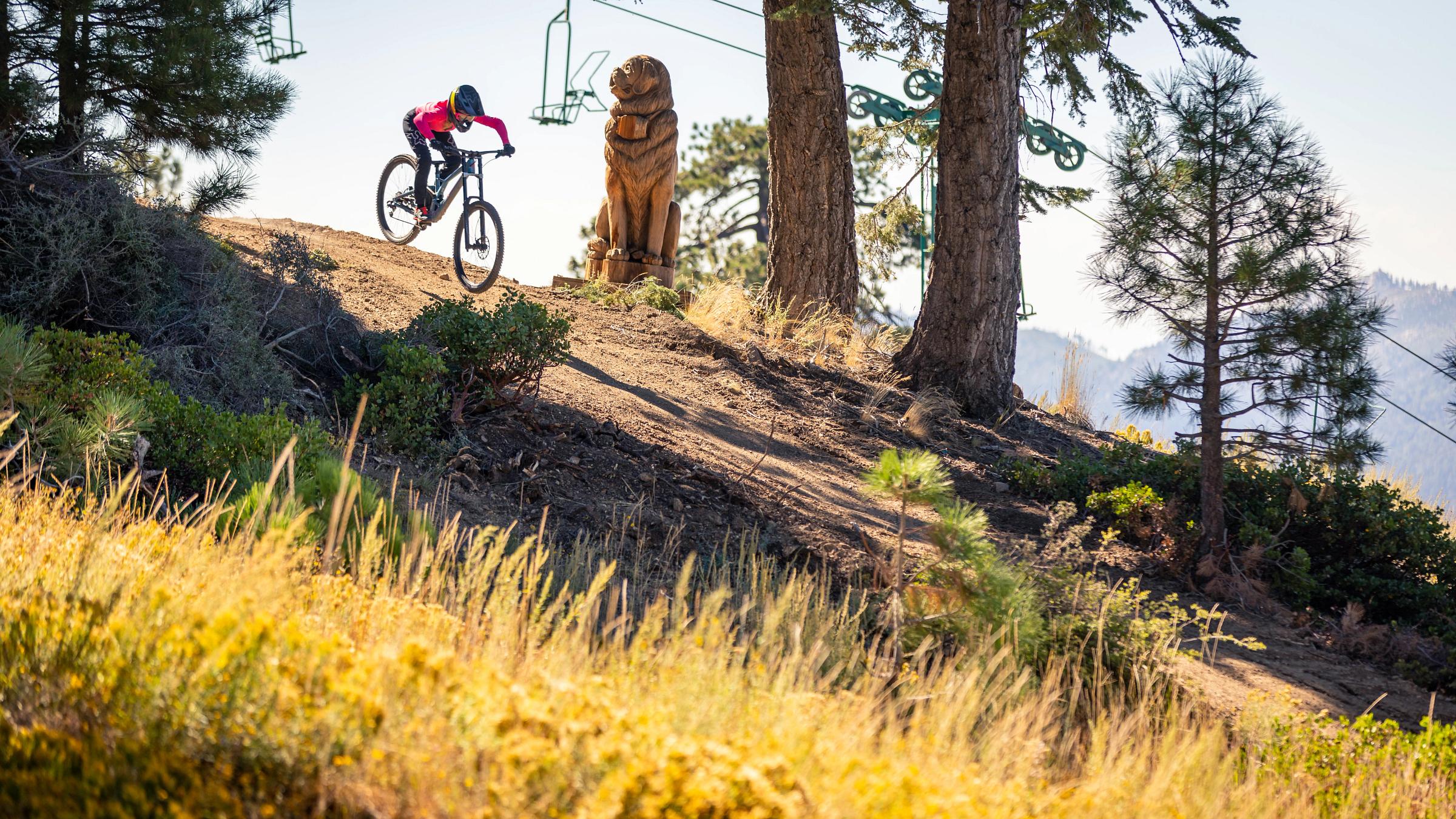 Mountain Biker going down hill
