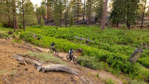 Two mountain bikers riding cross country trails.