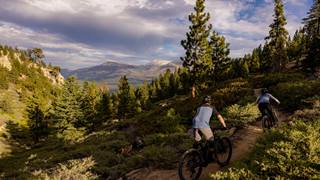 Two mountain bikers in the forest.