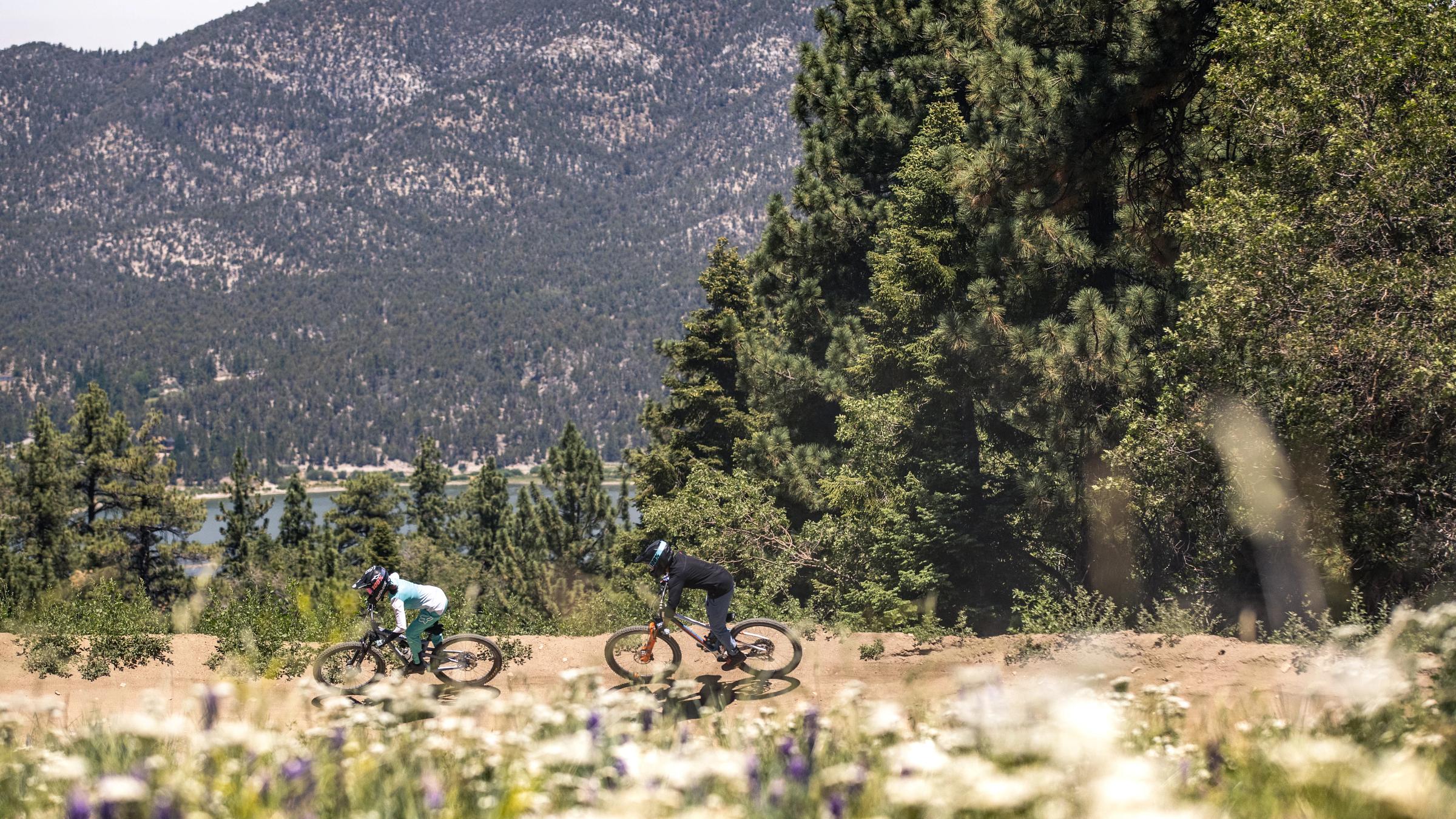 Mountain Bikers outdoors riding in flower fields