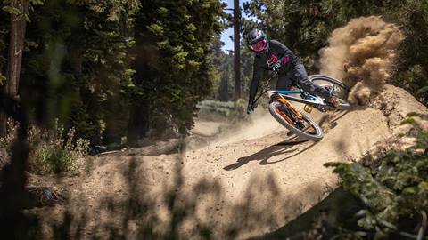 Mountain bike going downhill between trees