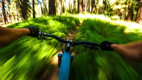 GoPro view of mountain biker going through the green forest in the san Bernardino mountains at summit bike park