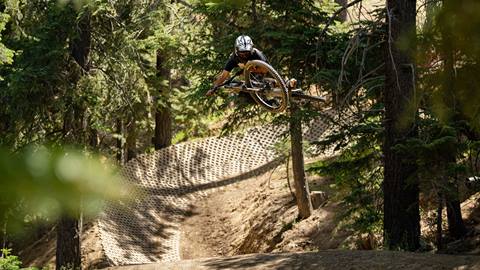 Adult on a mountain bike, wearing a full face helmet, in mid-air after hitting a bike park jump.