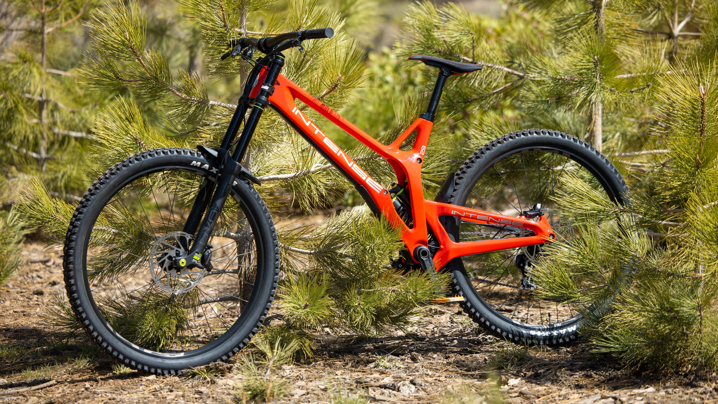 Red bike with black wheels posted up in the wilderness