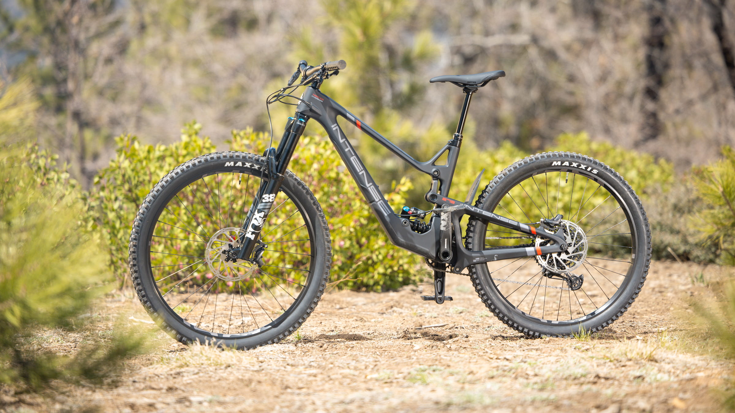Grey bike with black wheels posted up in the wilderness
