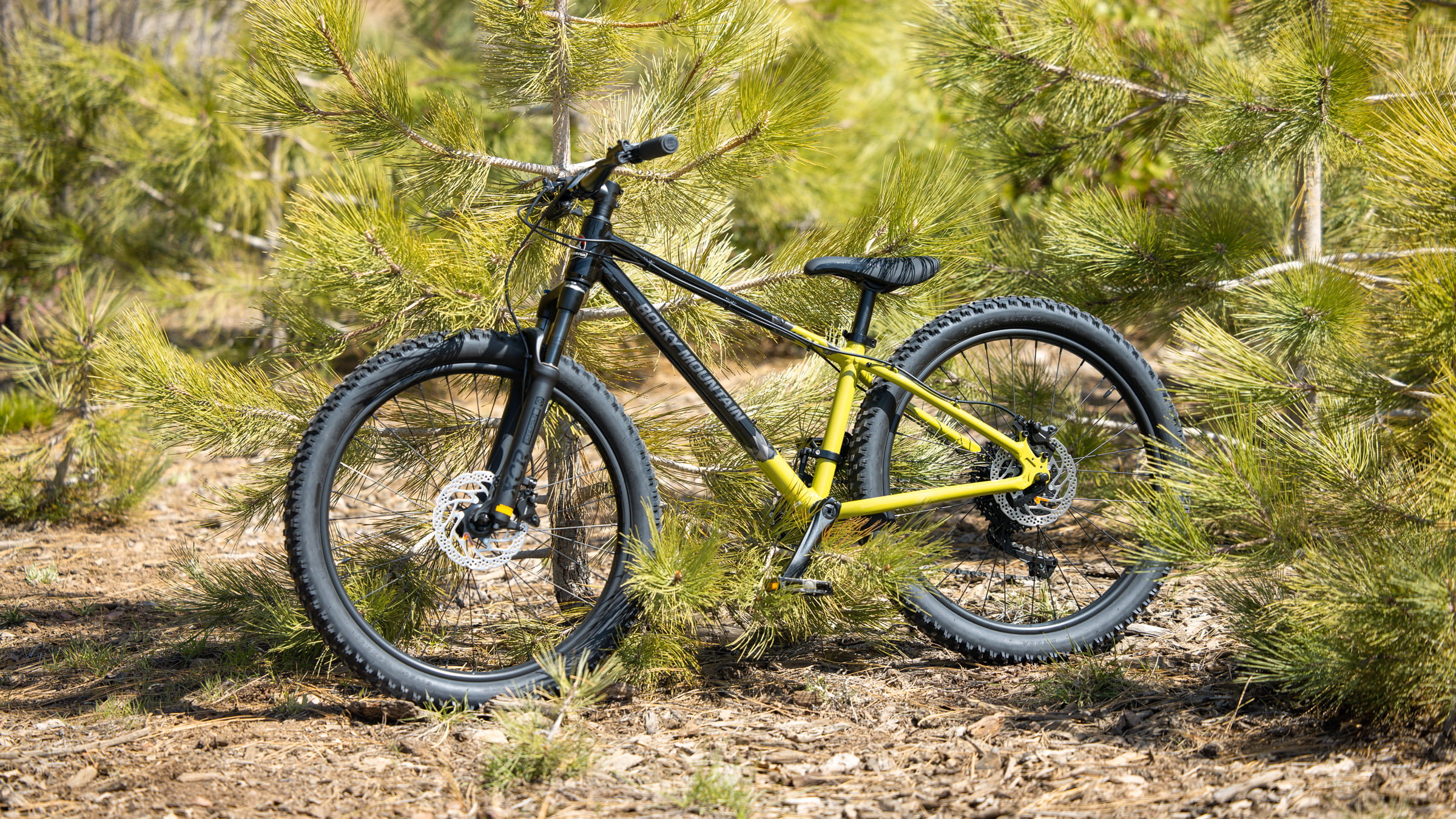 Black with yellow frame mountain bike with black wheels posted up in the wilderness