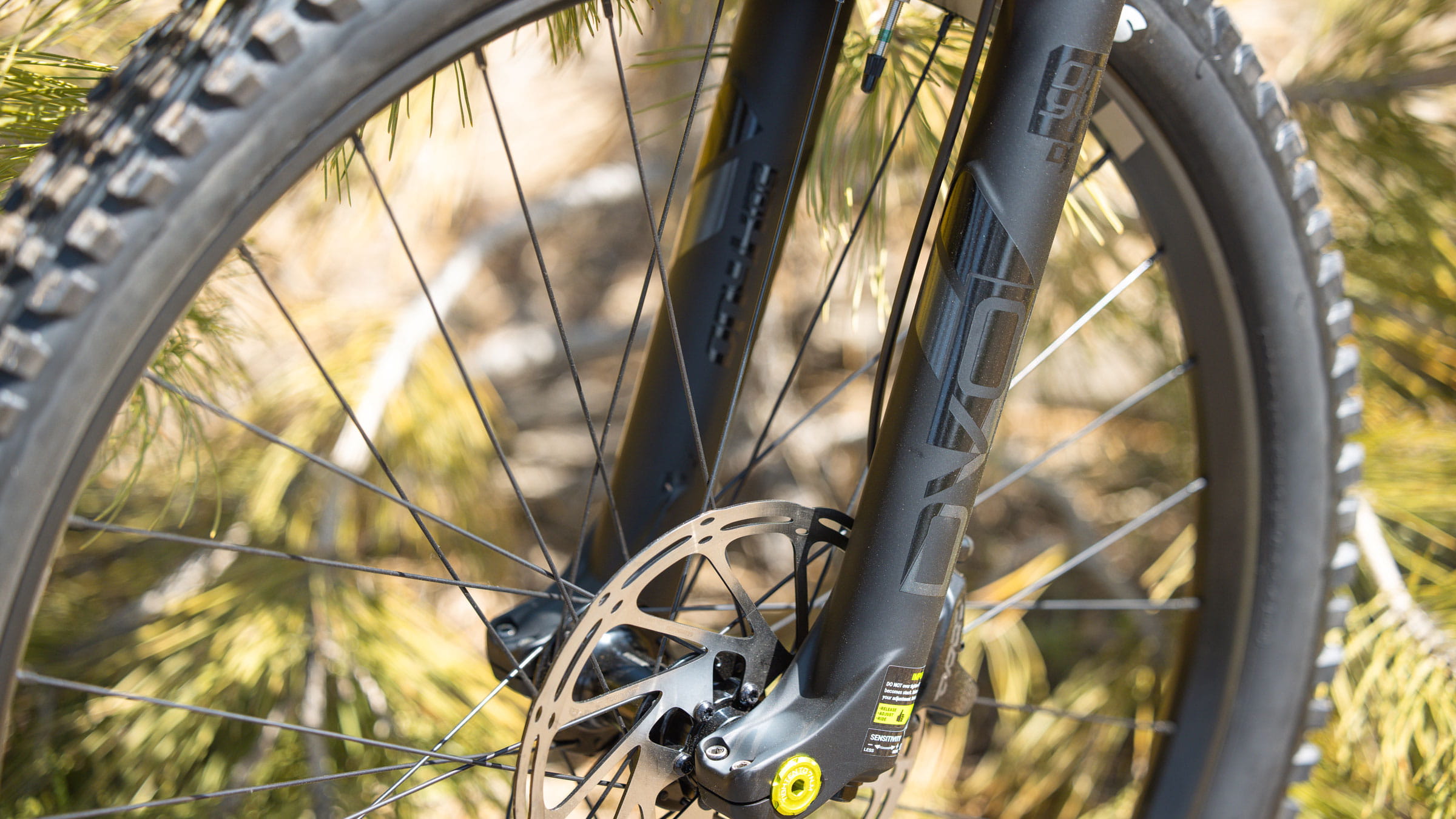 Close up of a mountain bike wheel/tire
