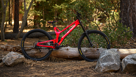 Carbon Downhill M29 in the forest
