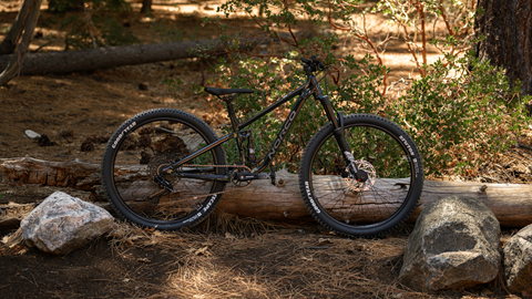 Norco Fluid FS mountain bike in the forest