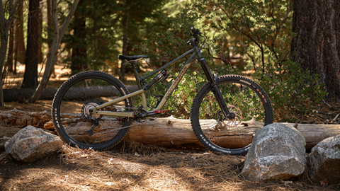 Rocky Mountain Altitude A30 in the forest