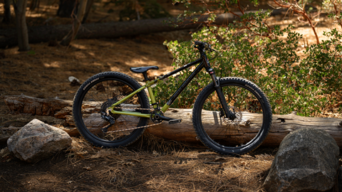 Rocky Mountain Vertex Jr bike in the forest