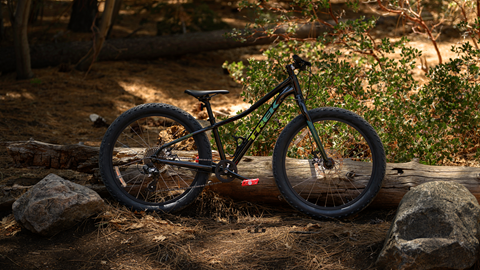 Trek Roscoe mountain bike in the forest