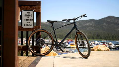A dark colored Trek branded bike on the BIg Bear Lake pedal path with the lake and boat docks in the back.