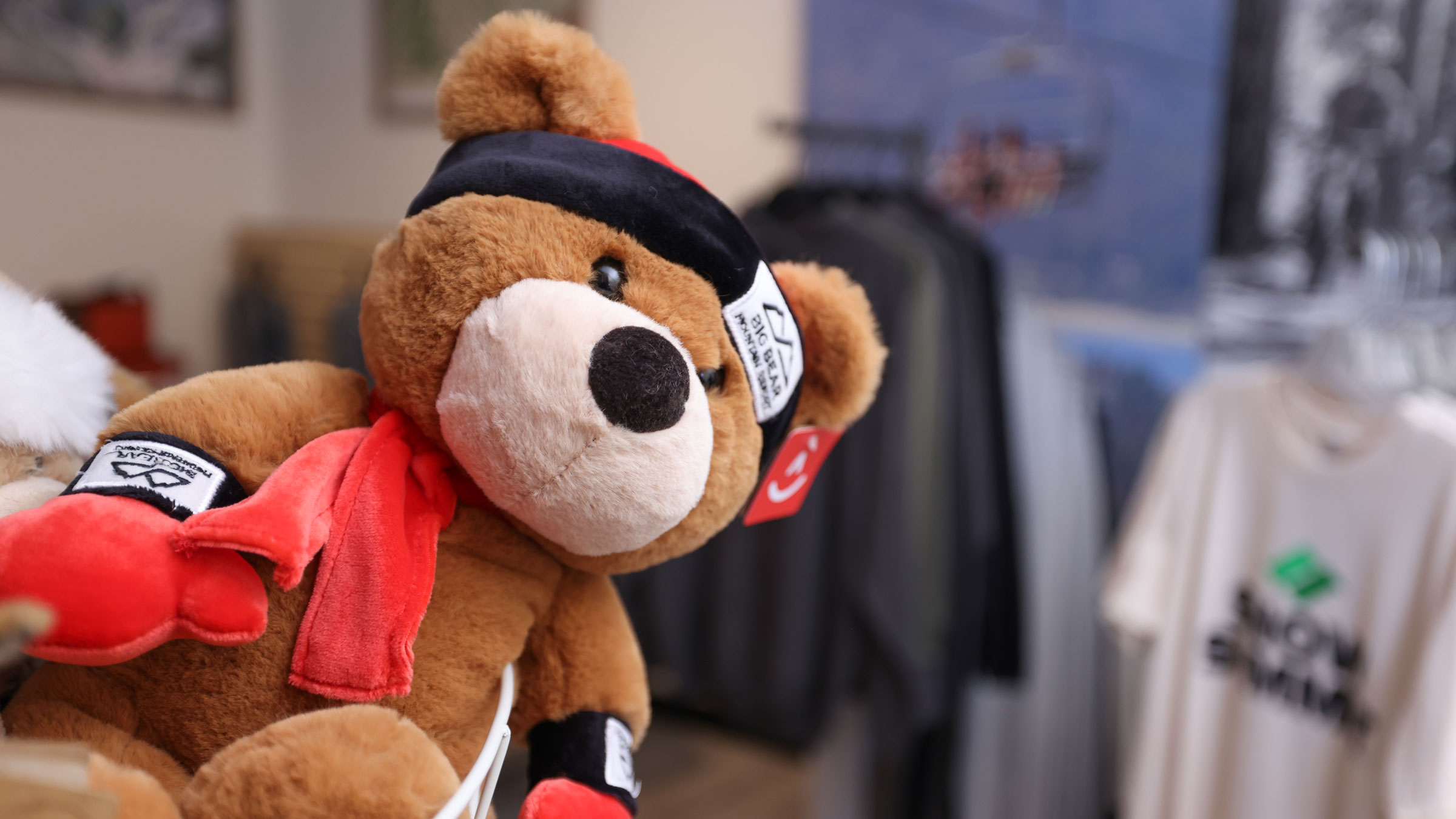 Biggie the Bear displayed at the BBMR Visitors Center Station.
