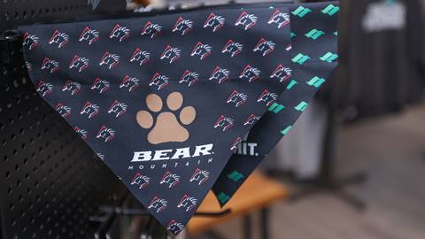 Dog bandanas with pawprint and Bear Mountain logo throughout.