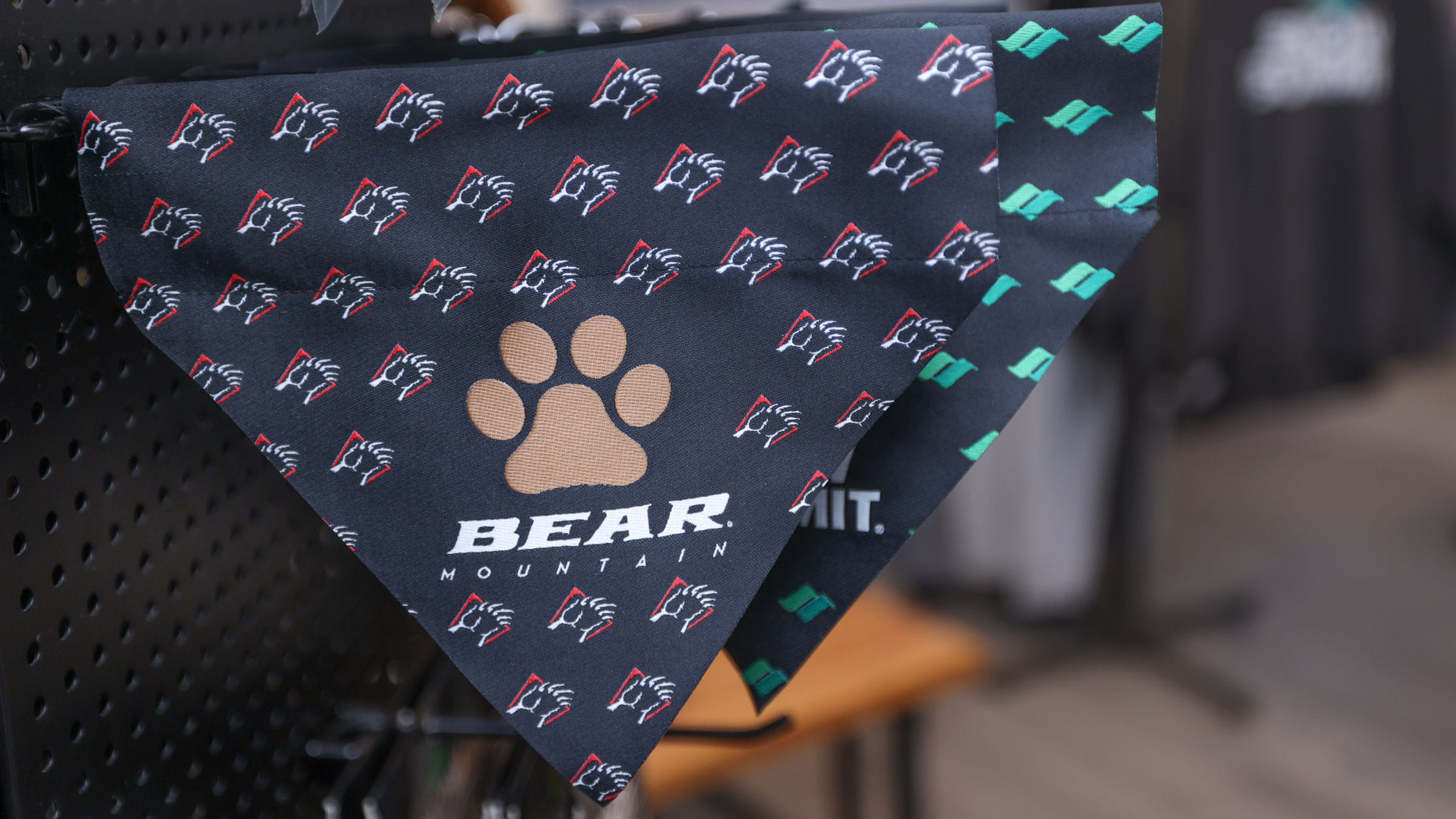 Dog bandanas with pawprint and Bear Mountain logo throughout.