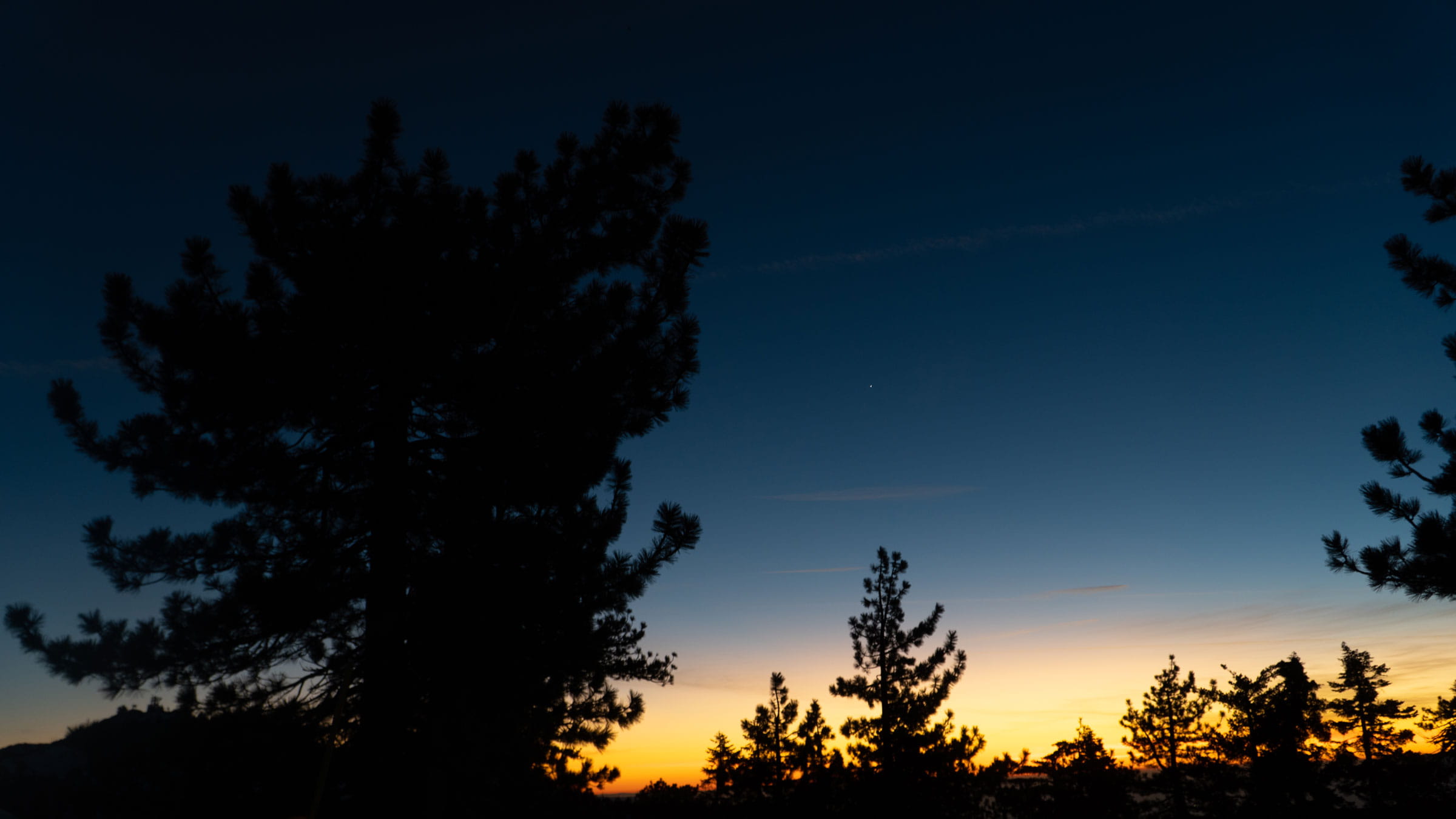 Looking up into the evening sky with trees, fading glow of sunset, and stars.