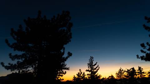 Looking up into the evening sky with trees, fading glow of sunset, and stars.