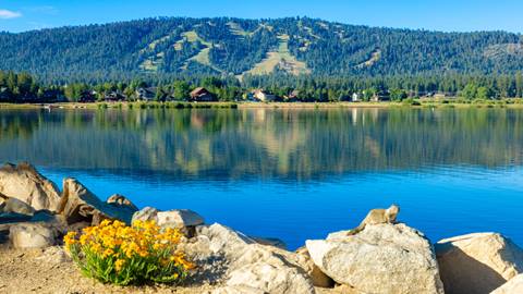 Scenic summer shot of Big Bear Lake on a clear blue sky day with rocks, flowers, and a squirrel in the foreground with the lake and Snow Summit in the distance.