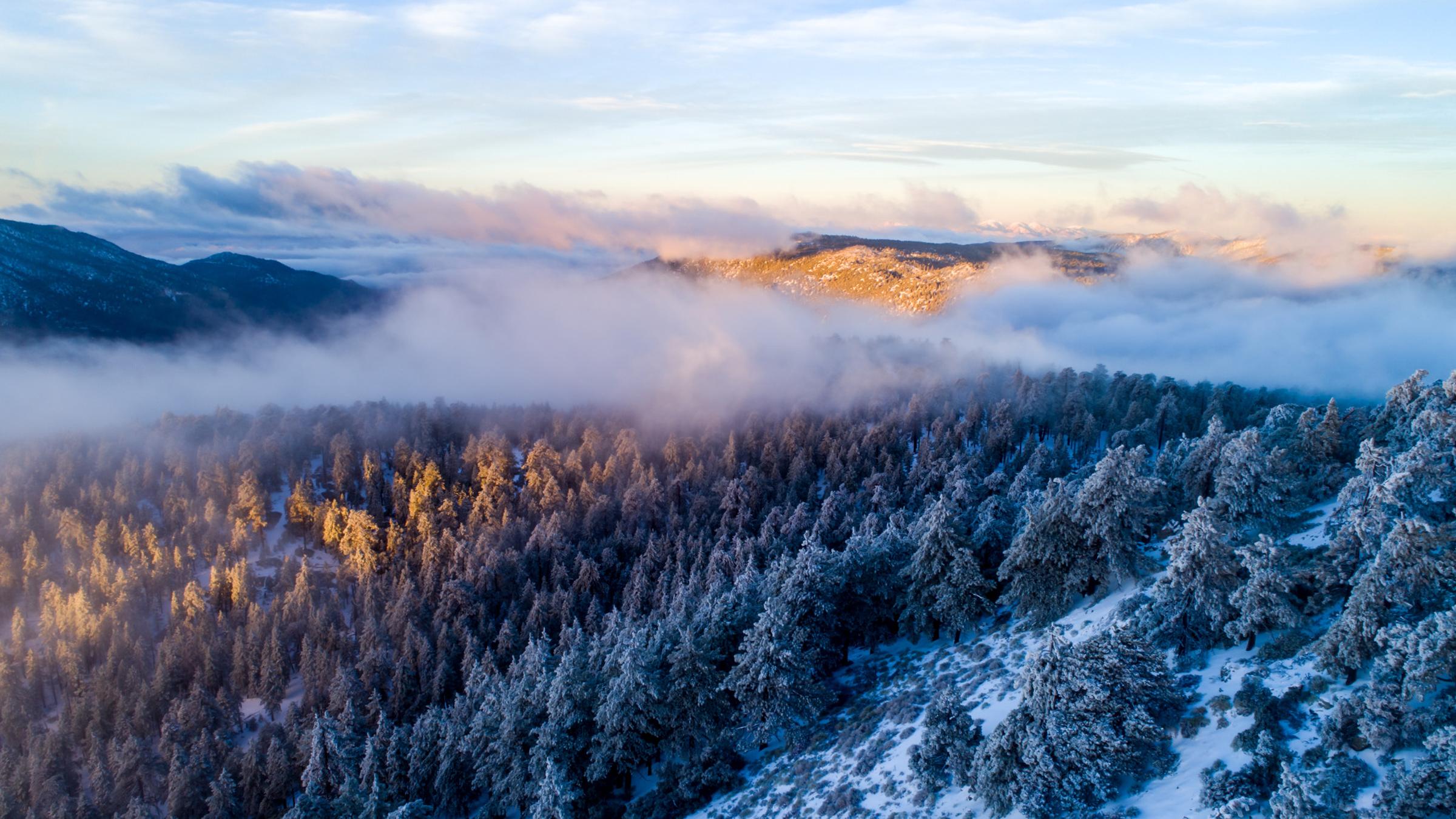 Lift Tickets & Ski Lessons Big Bear Mountain Resort
