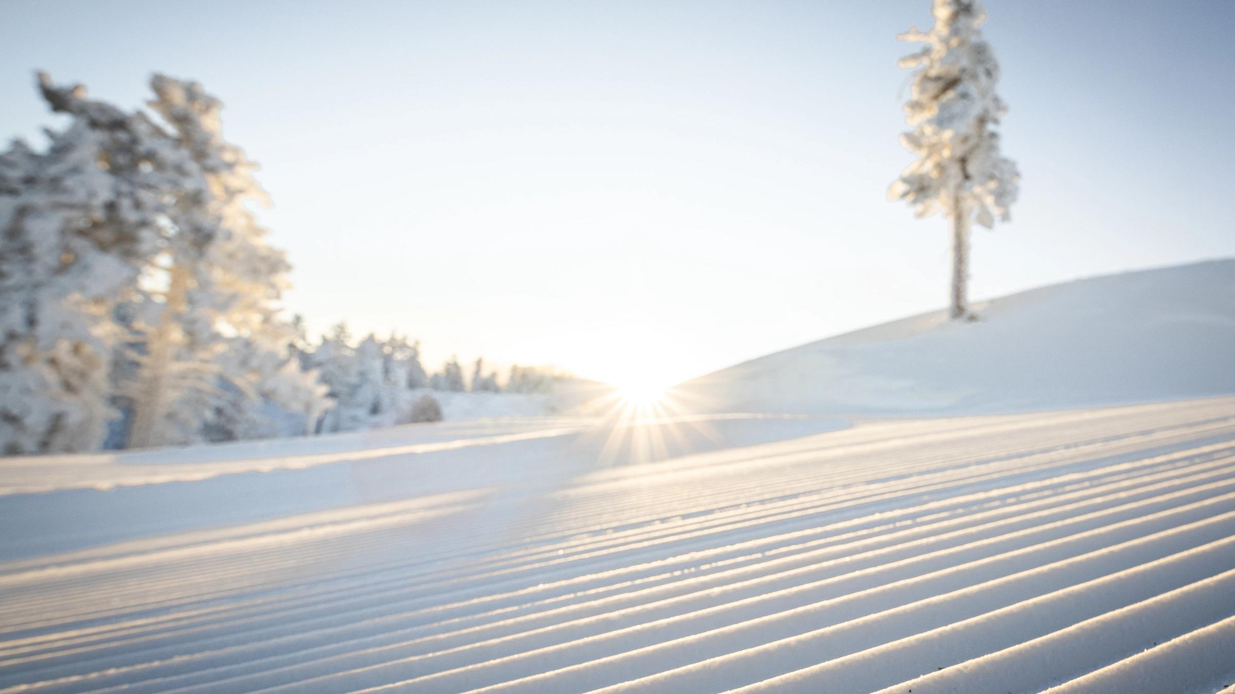 Scenic, Morning, Snow, Powder,
