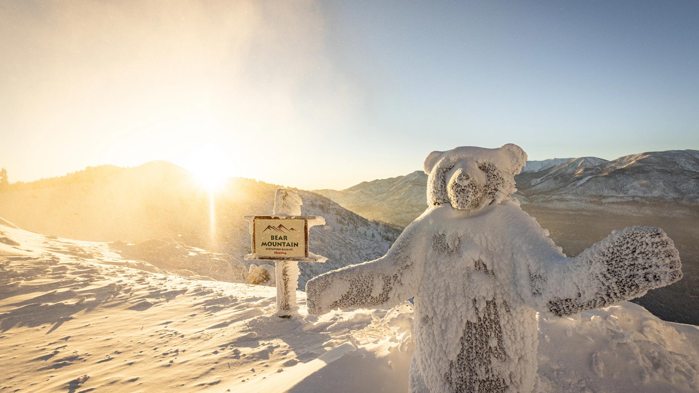 Wooden bear covered in snow with san gorgonio in the background.