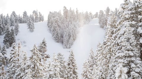 The Wall run at Snow Summit