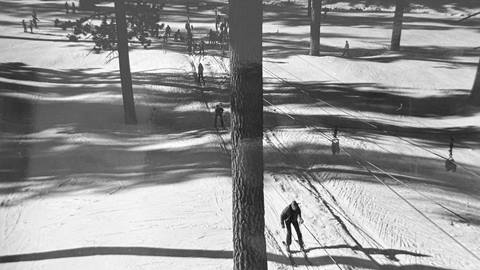 A rope tow ski lift pulling riders up a snowy trail with pine trees.