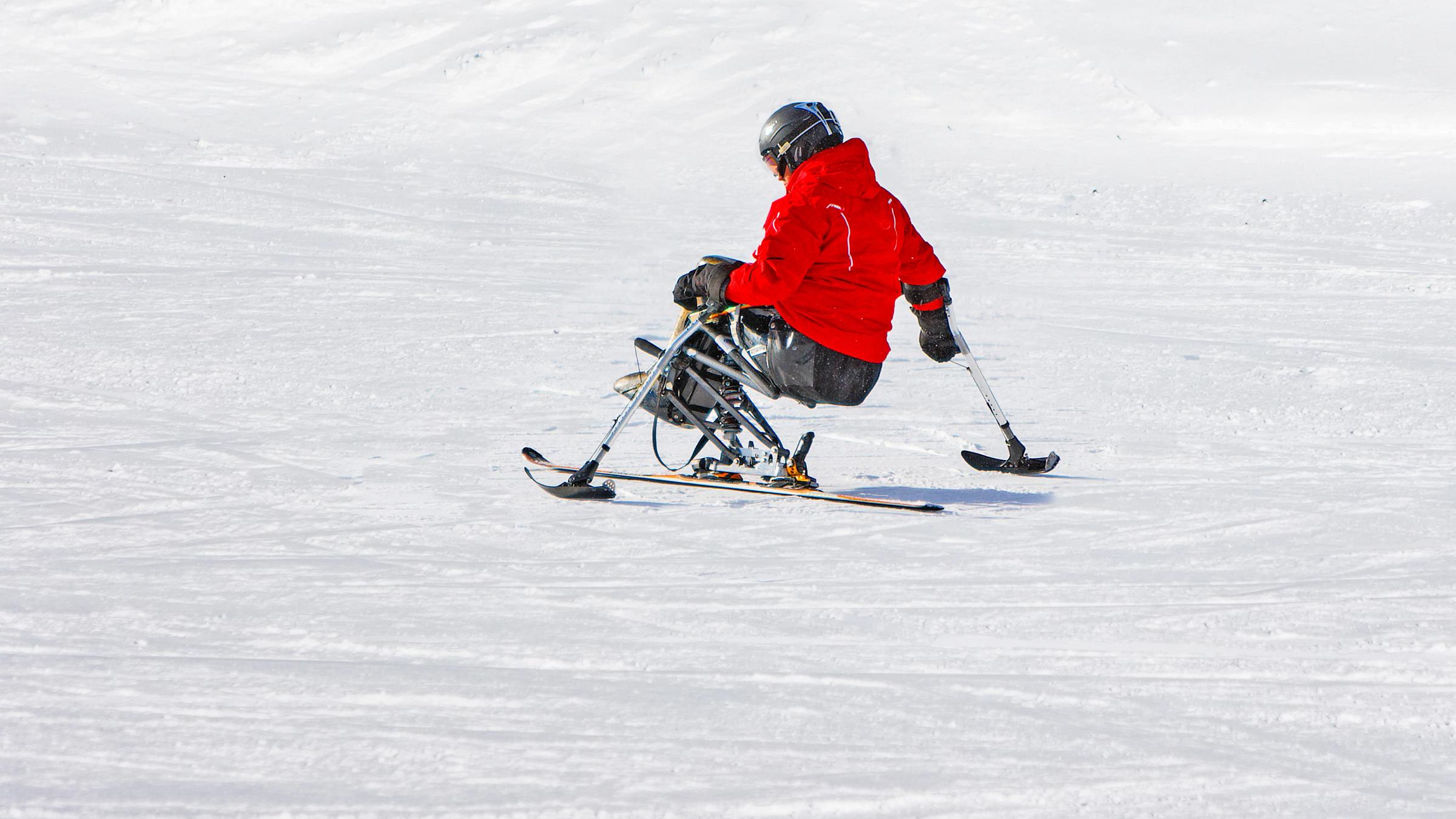 disabled ski