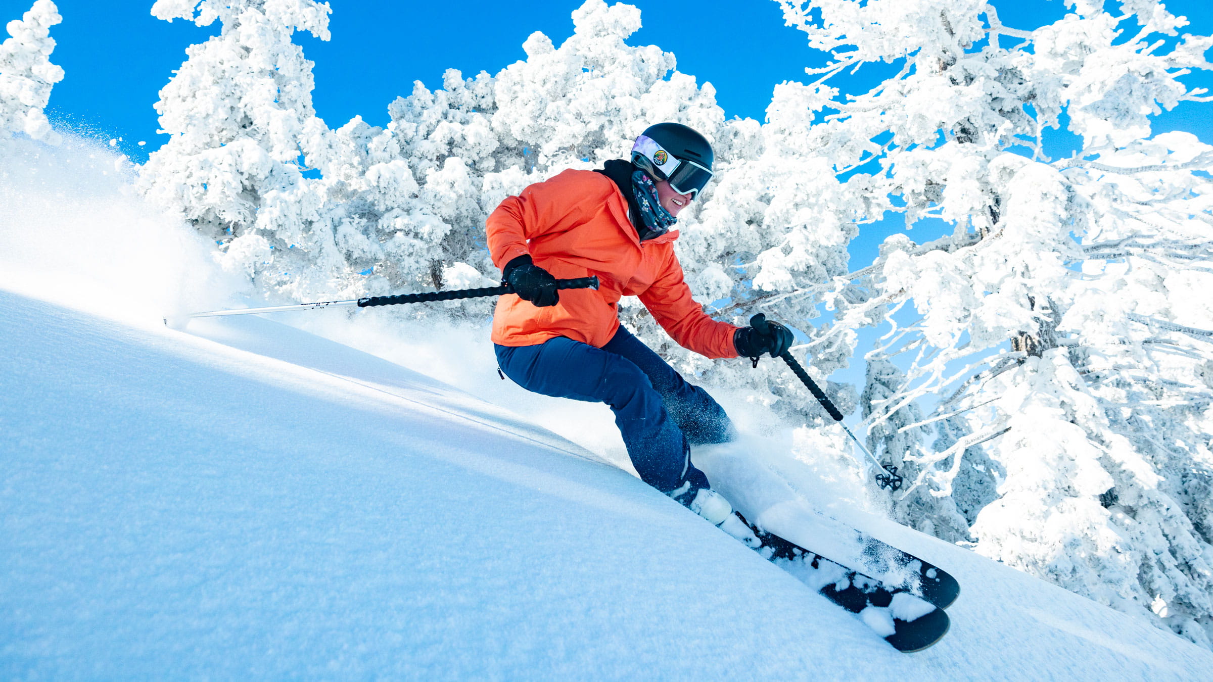 skier going downhill on a ski slope on a bluebird day with white trees