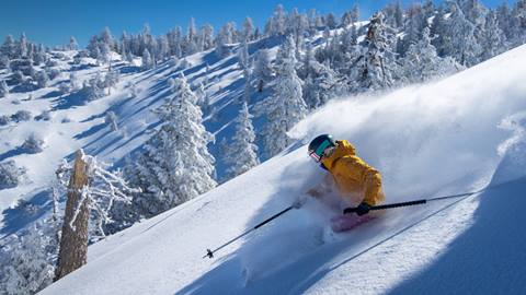 Skier in yellow jacket and black helmet with goggles riding through fresh powder on a bluebird day.