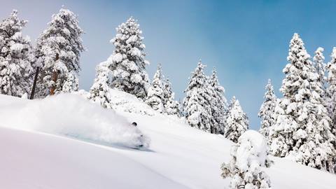 Powder slash on a bluebird day after a big snowfall