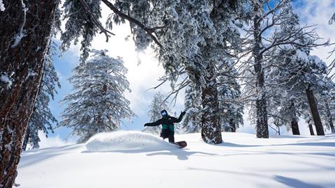 Snowboarder in the trees slashing fresh snow at Snow Valley