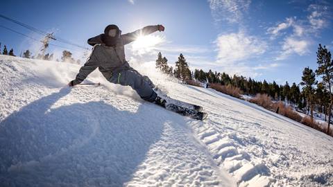 INSERT FULL DESCRIPTION HERE.