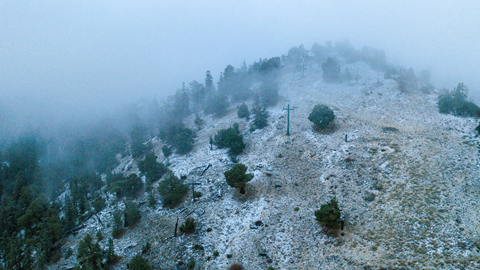 Fresh snow covering the slopes and trees along the Geronimo run at Big Bear Mountain Resort.