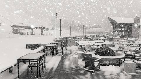 12-26-19_BBL_LS_Snowy_Jpeg-2.jpg