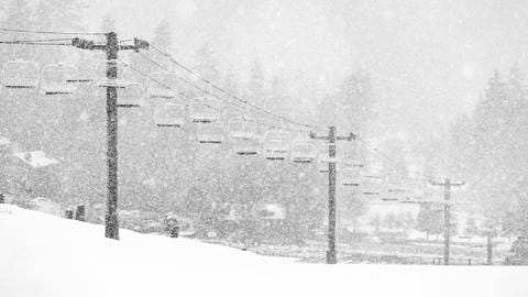 12-4-19_BB_LS_Snowy_Jpeg_-3.jpg