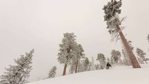 2016-01-07_BB_LS_Powder_JPEG_0002.JPG