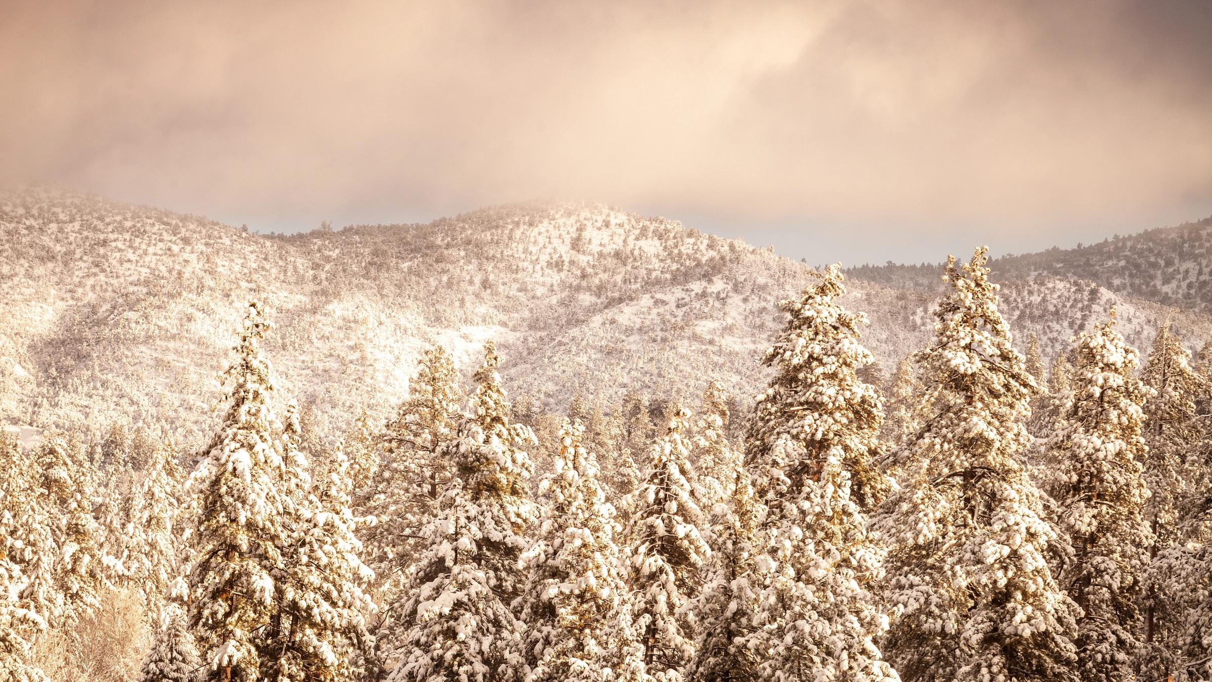 Snowy scenic