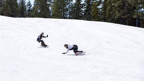 INSERT FULL DESCRIPTION HERE.