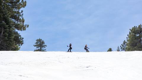 INSERT FULL DESCRIPTION HERE.