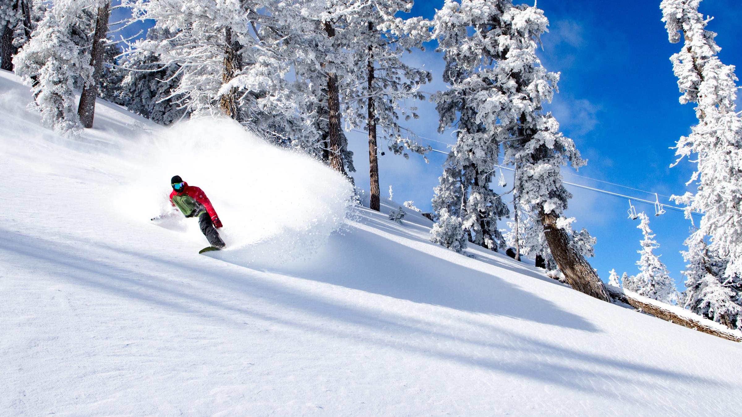 Programs & Services Offered at Big Bear Mountain Resort