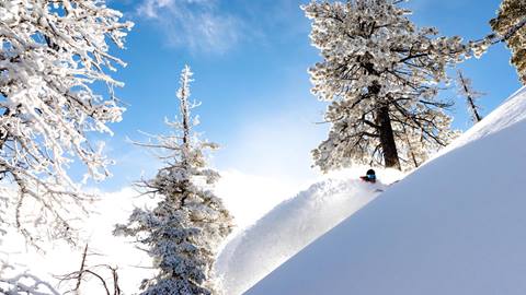 2017_BB_LS_Snowboard_19.jpg