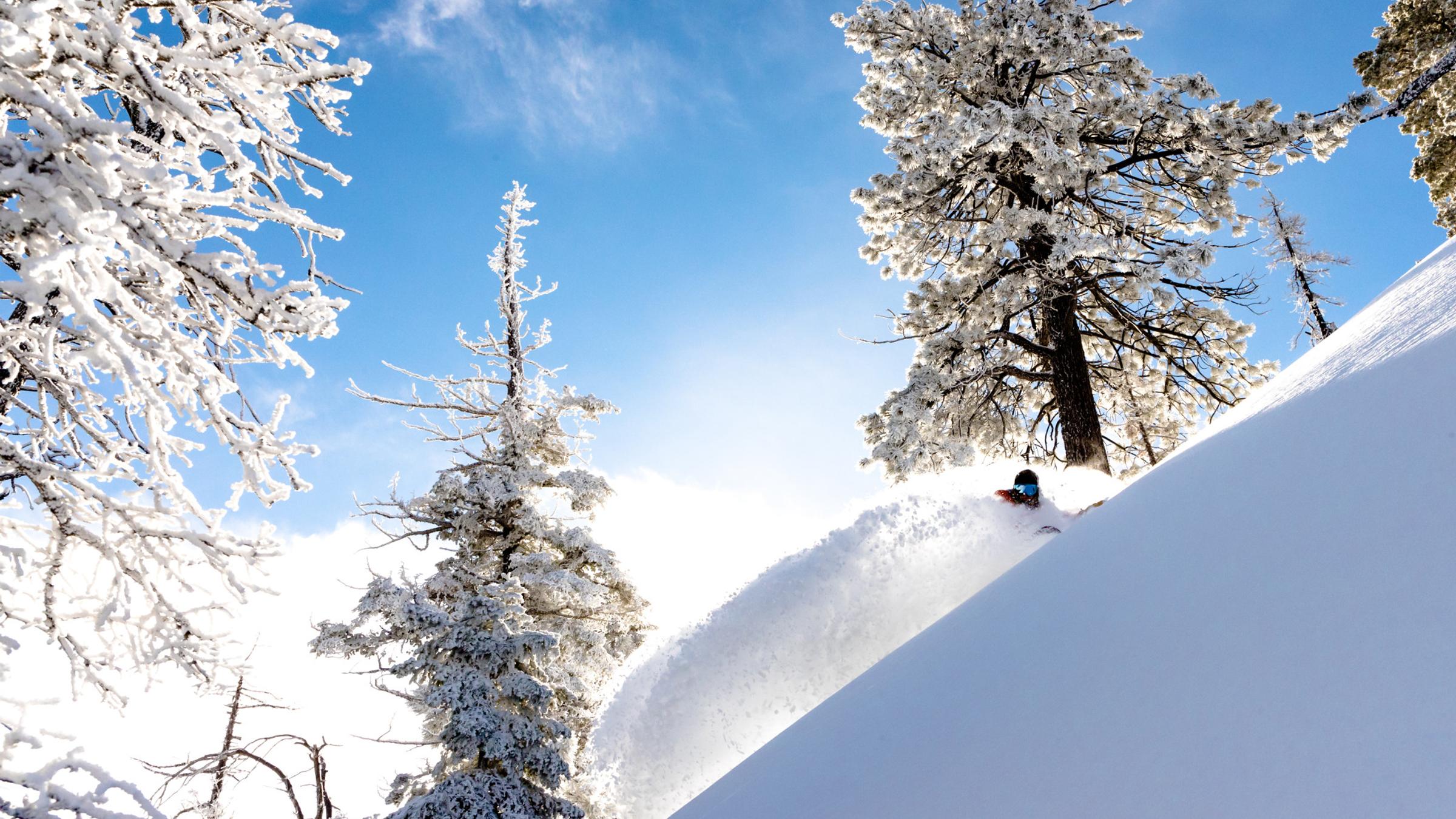 2017_BB_LS_Snowboard_19.jpg