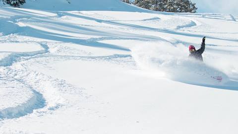 Snowboarder in fresh tracks