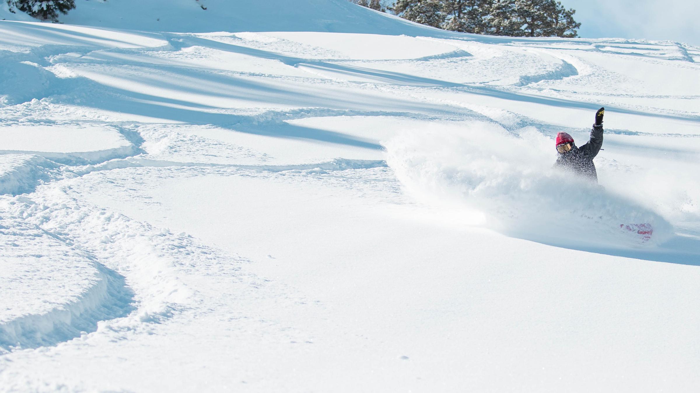 Snowboarder in fresh tracks