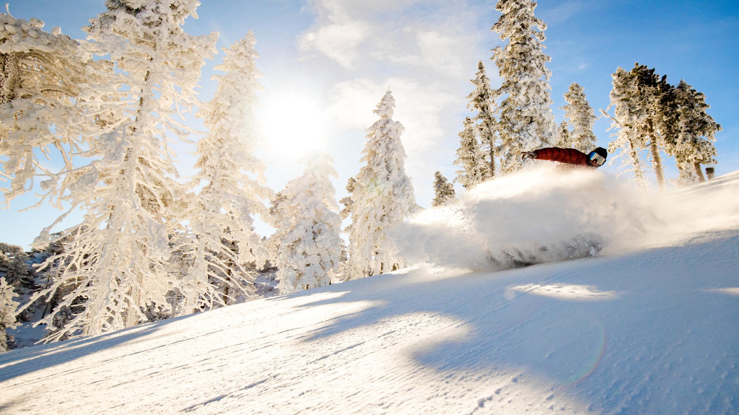 Man carving in powder