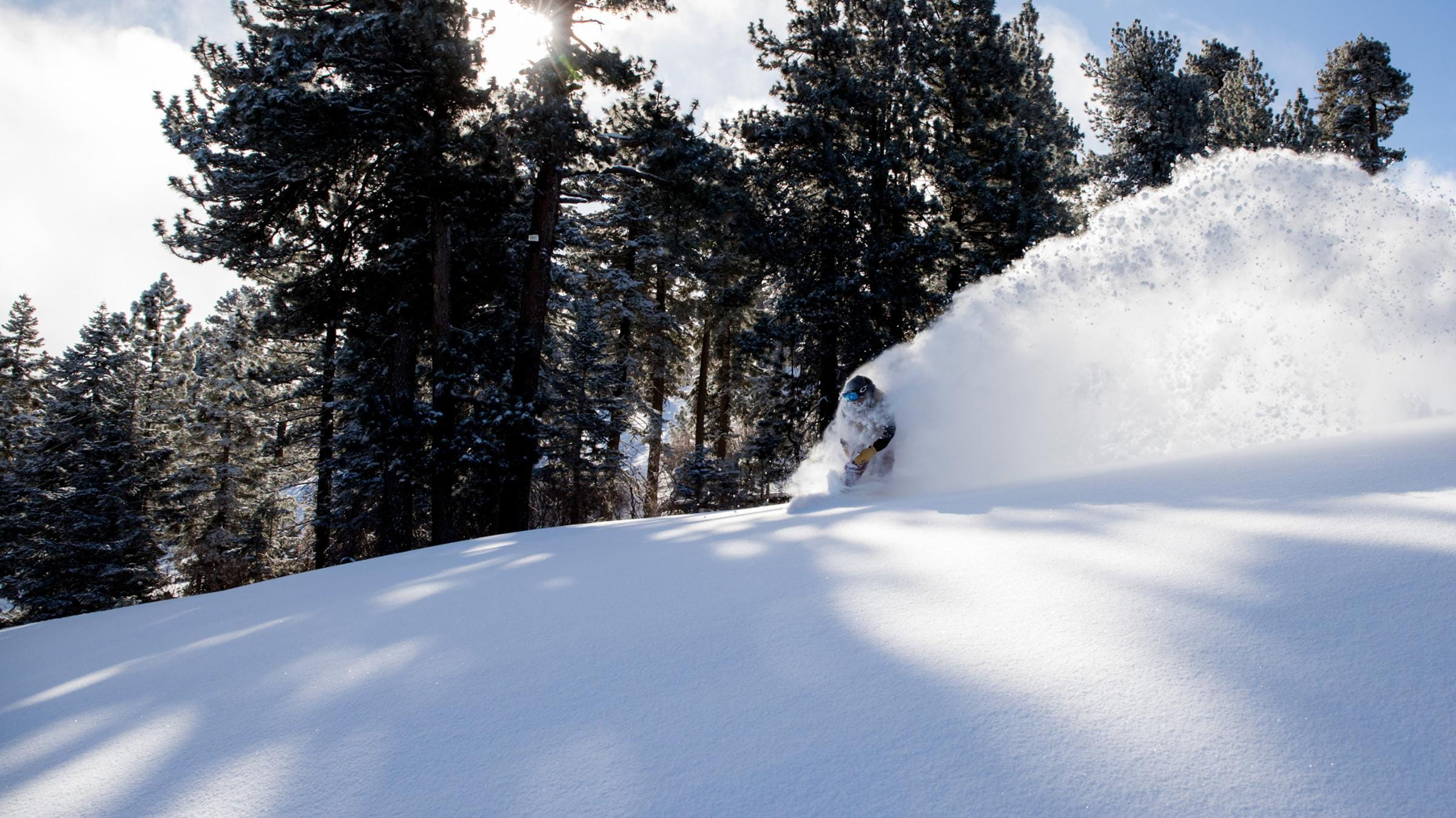Skier in fresh powder.